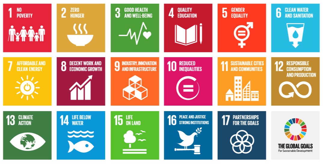 SDG icon grid